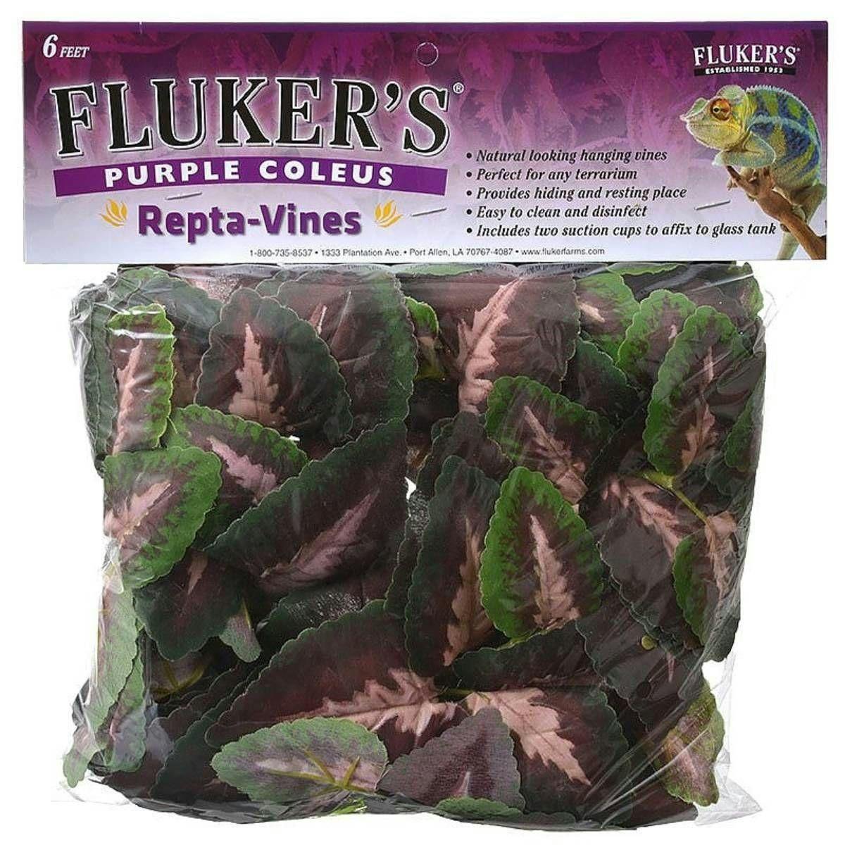 Image for Fluker's Repta-Vines Purple Coleus by Josh's Frogs
