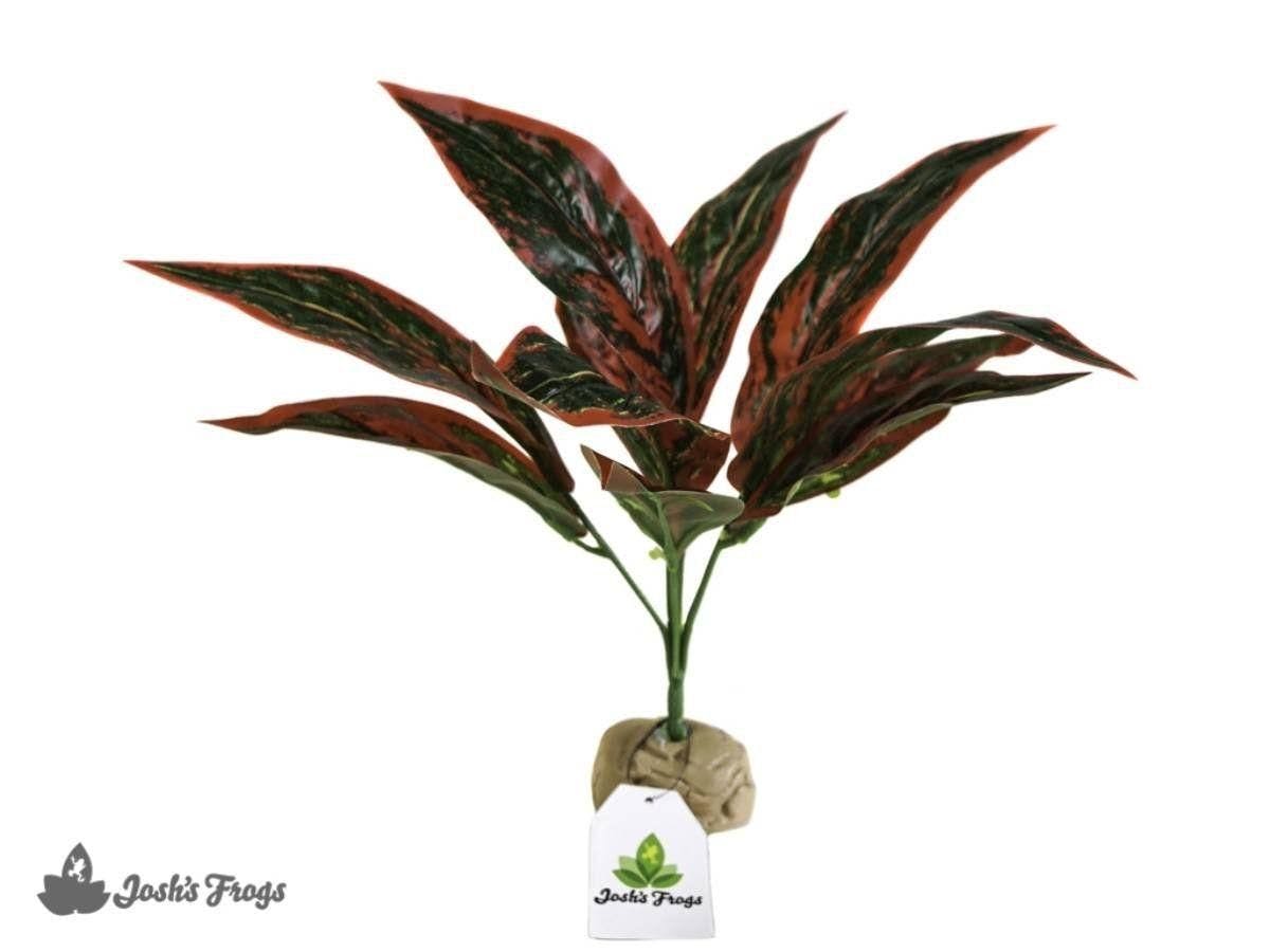 Image for Josh's Frogs Artificial Pink Variegated Aglaonema by Josh's Frogs