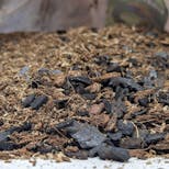 Preview image 6 for Josh's Frogs BioBedding Tropical Bioactive Substrate (10 Quart) by Josh's Frogs