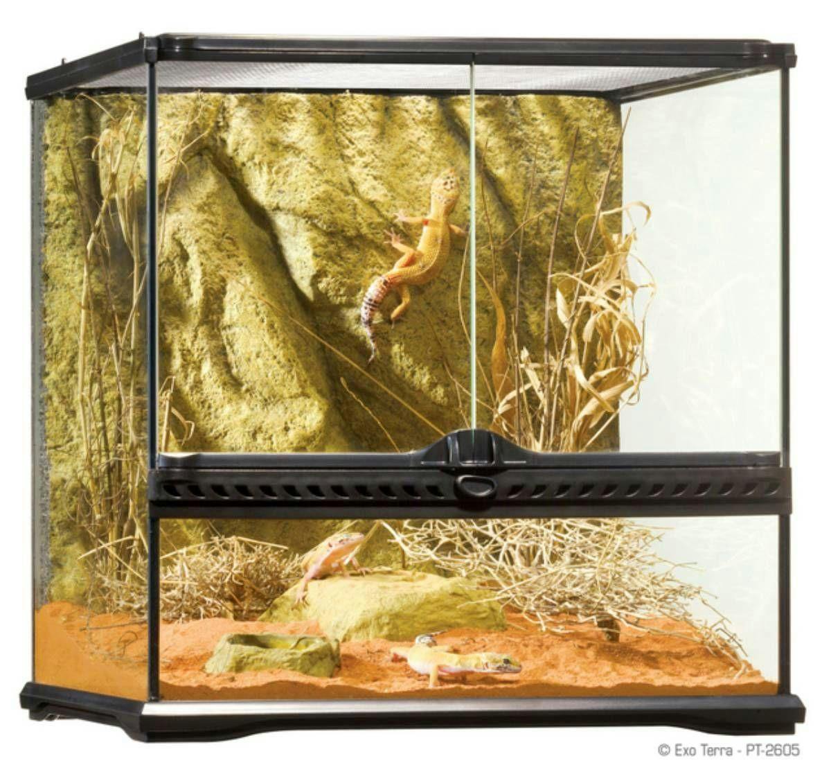 Image 1 for Exo Terra Glass Terrarium 18”x18”x18” by Josh's Frogs