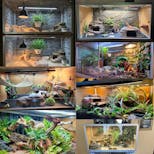 Preview image 3 for 4’x2’x2’ Meridian PVC Panel Reptile Enclosure by Zen Habitats