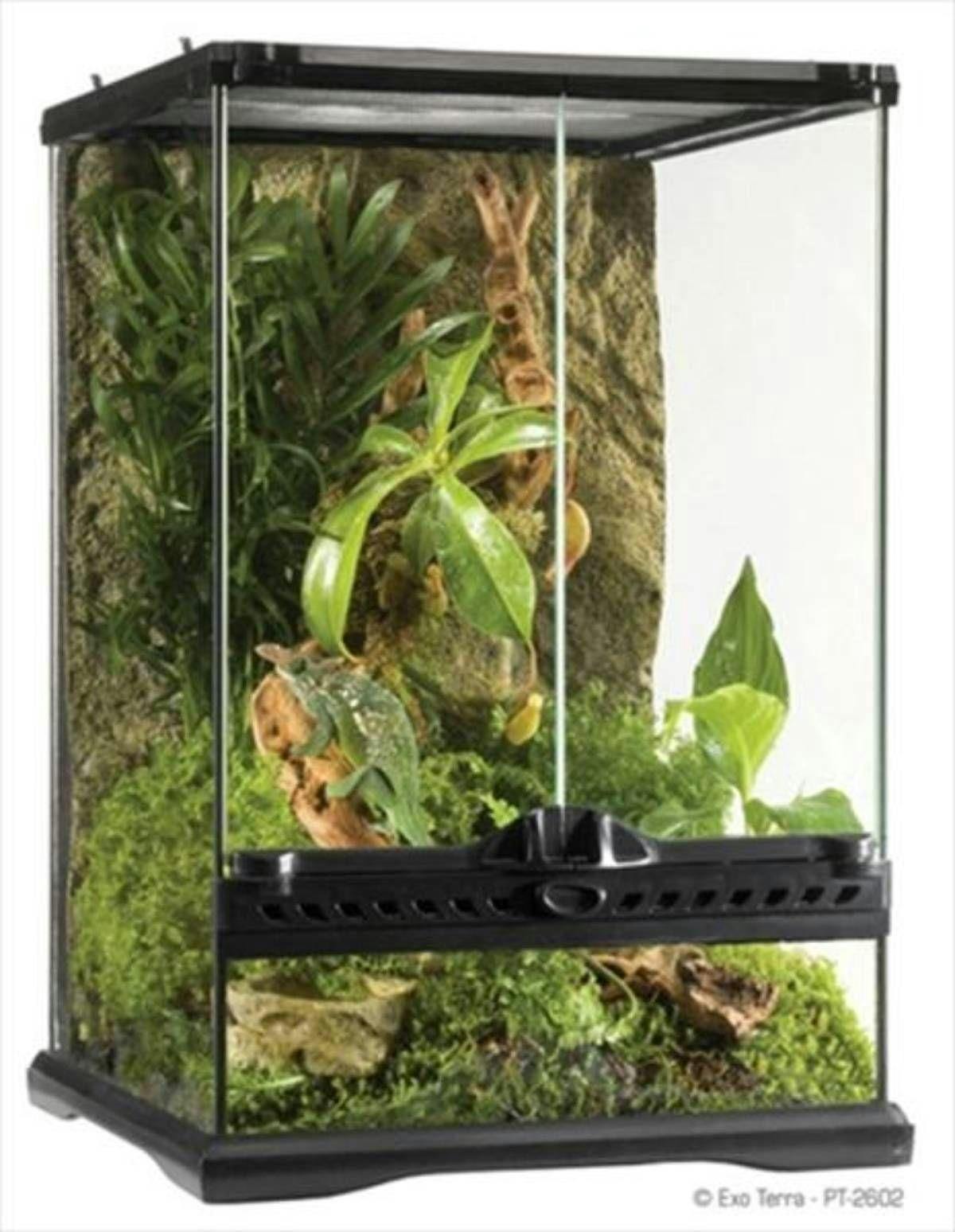 Image 1 for Exo Terra Glass Terrarium 18”x18”x24” by Josh's Frogs