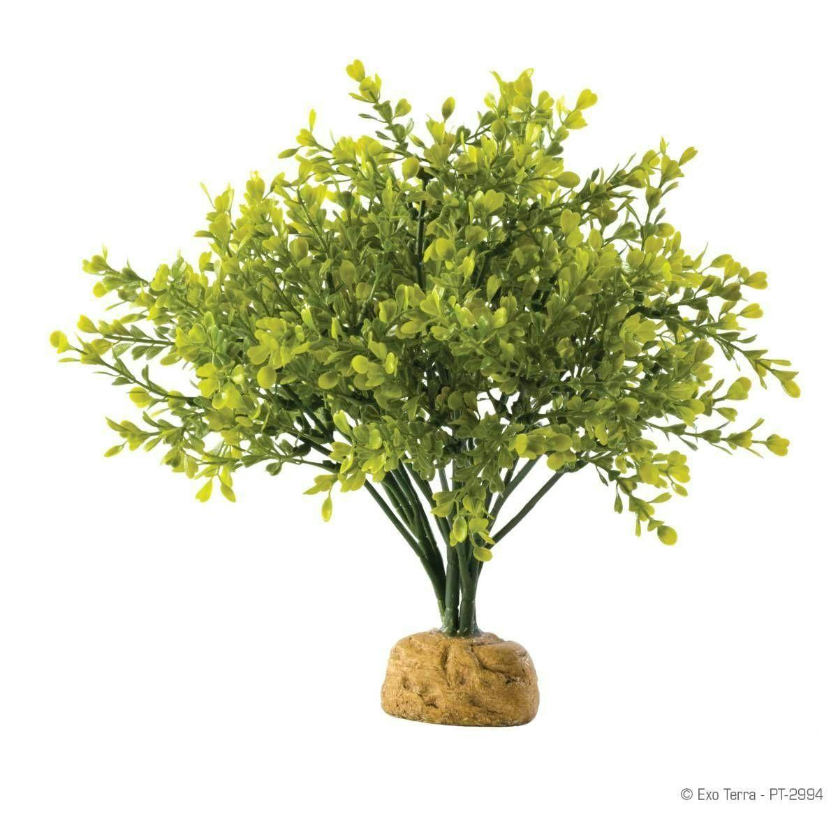 Image 1 for Exo Terra Boxwood Bush by Josh's Frogs