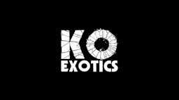 Avatar of KO Exotics