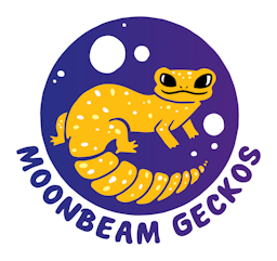 Moonbeam Geckos