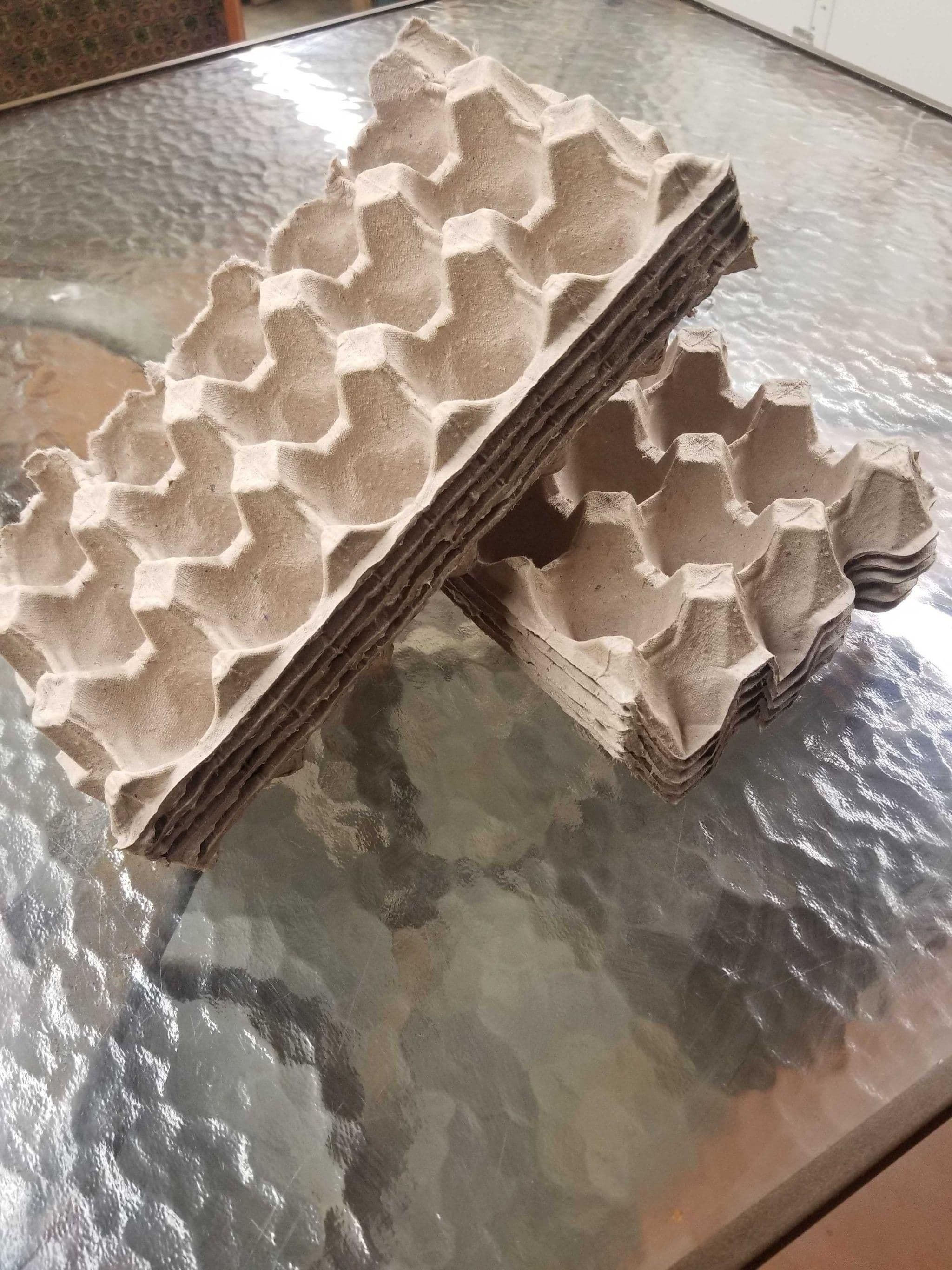 Image 1 for Egg Flat 10 ct. by Ovipost