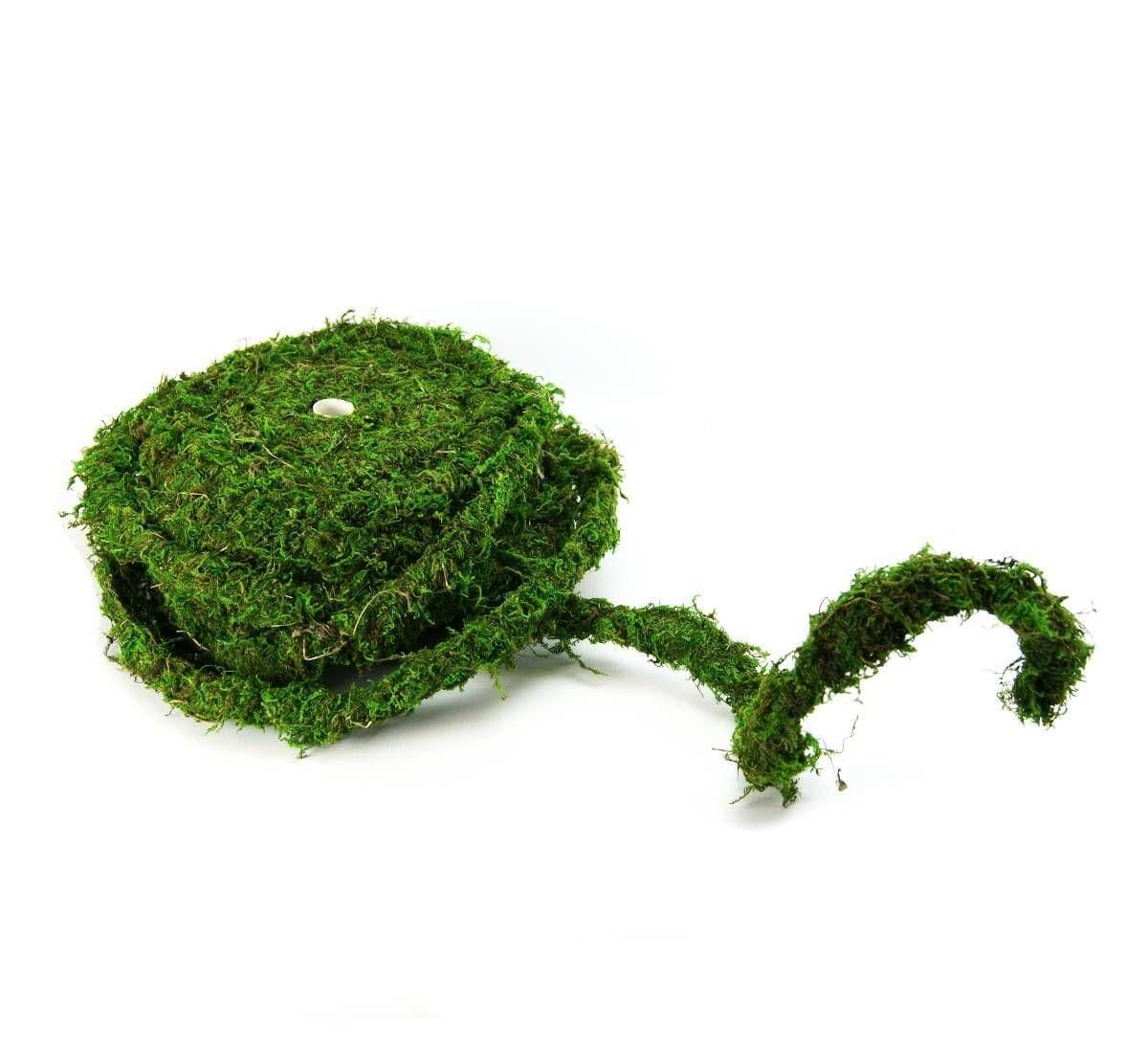 Image 1 for Galapagos Moss Vine per Foot by Josh's Frogs