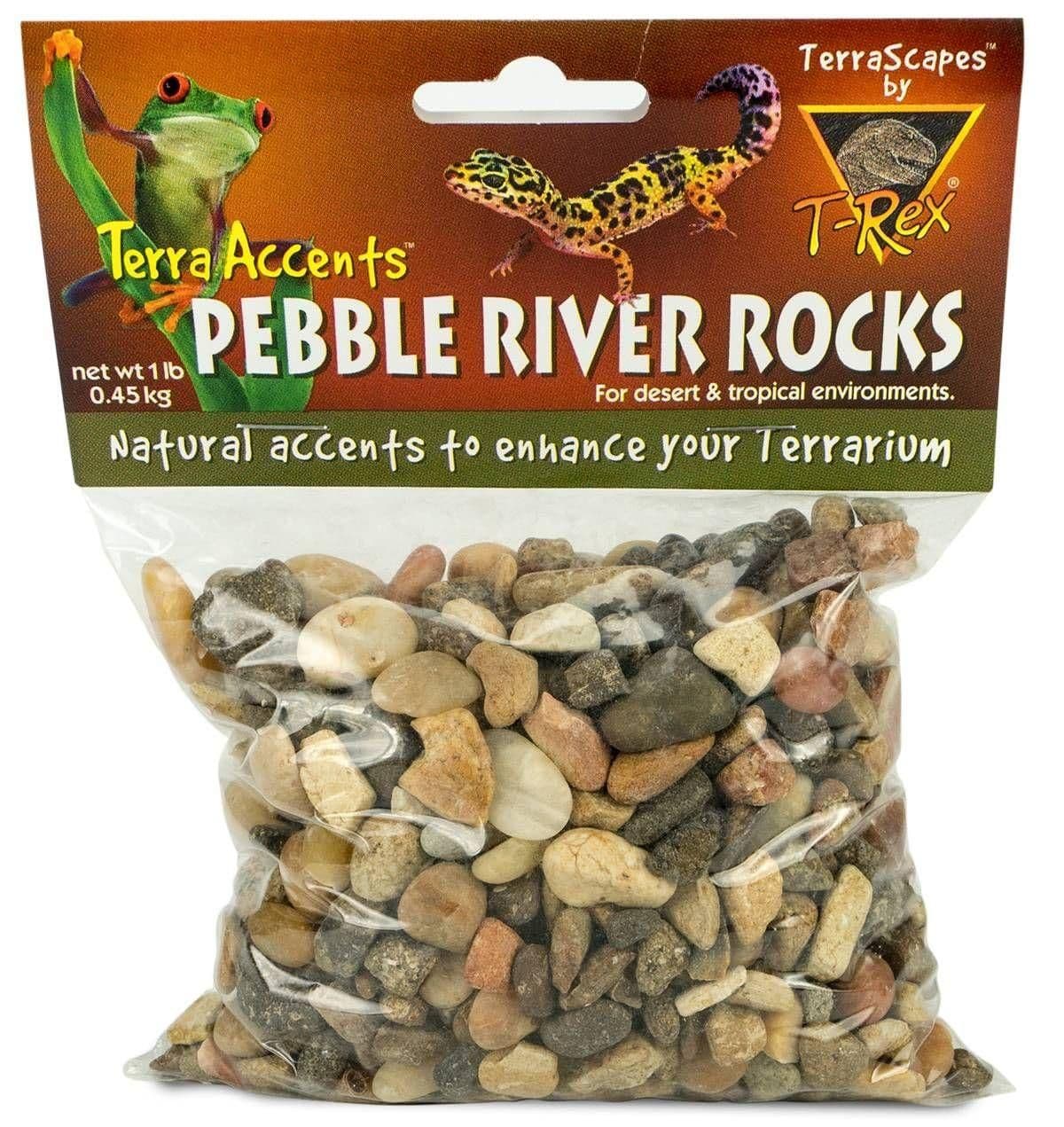Image 1 for T-Rex Terra Accents Pebble River Rocks by Josh's Frogs