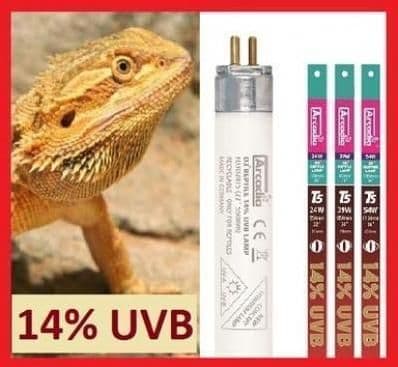 Image 1 for Arcadia Dragon 14% UVB T5 Bulb (22" / 24w) by Josh's Frogs