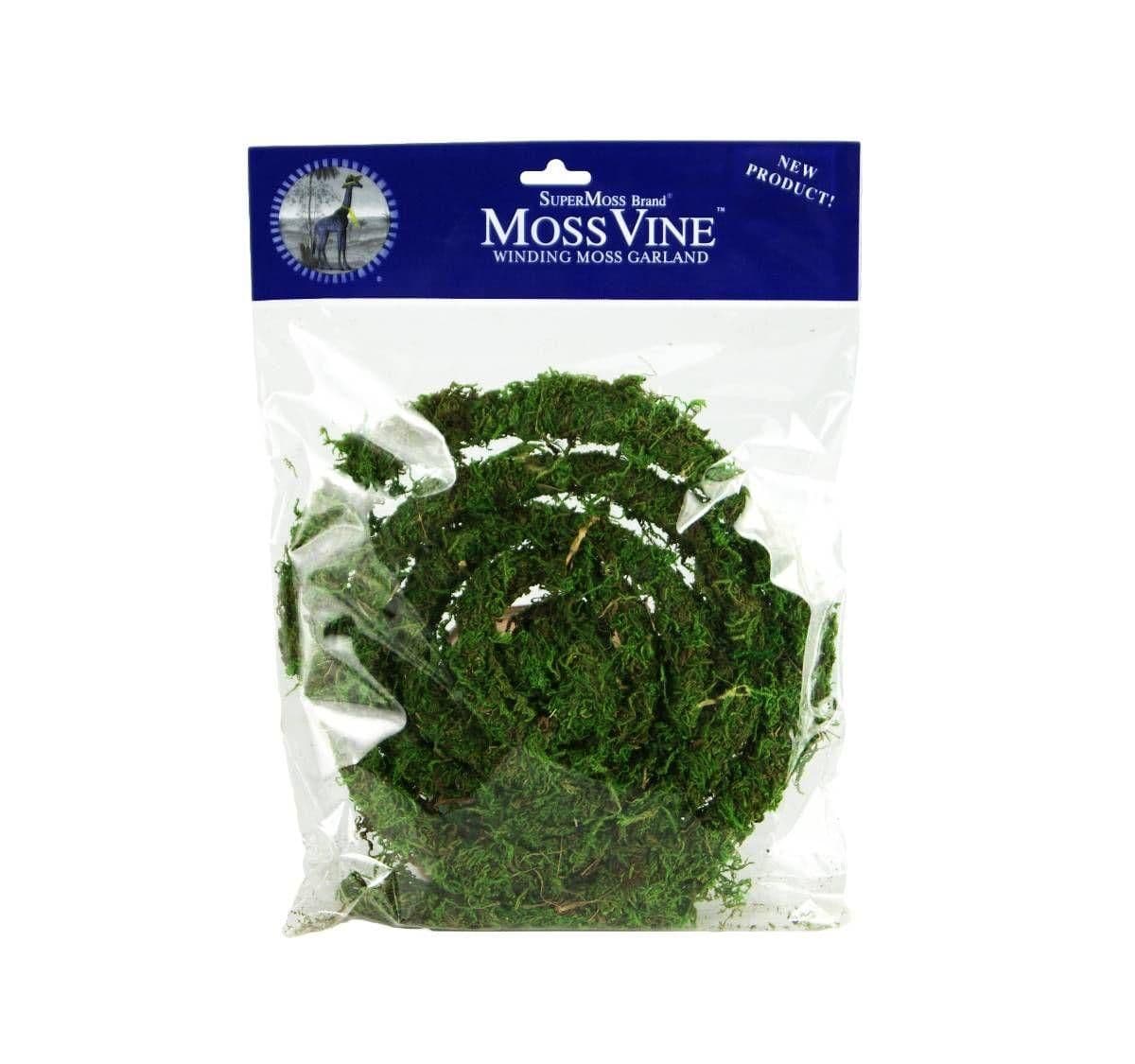 Image 1 for Galapagos Moss Vine 12’ by Josh's Frogs