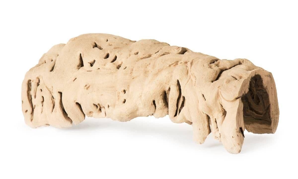 Image 1 for Galapagos Hollow Hide by Josh's Frogs