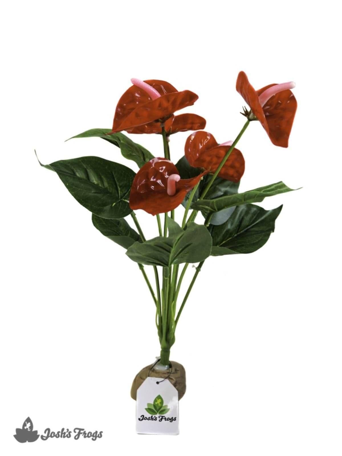 Image 1 for Josh's Frogs Artificial Anthurium Bush by Josh's Frogs
