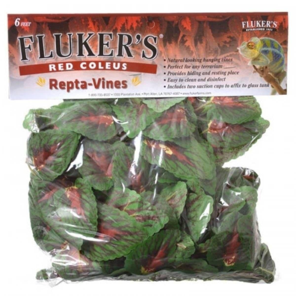 Image 1 for Fluker's Repta-Vines Red Coleus by Josh's Frogs