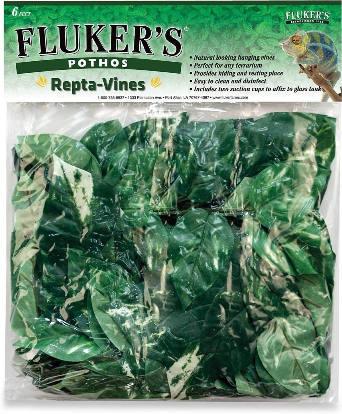 Image 1 for Fluker's Repta-Vines Pothos by Josh's Frogs