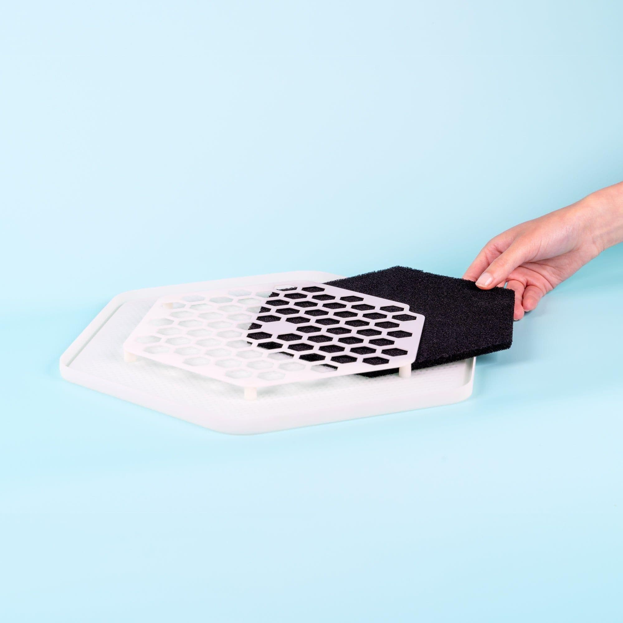 Image 1 for Active Carbon Filters - Pack of 3 by The Bug Factory