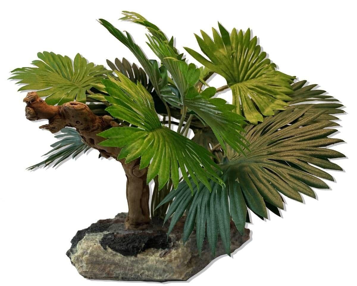 Image 1 for Pet-Tekk Mini Fan Palm with Climbing Branch by Josh's Frogs